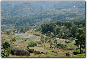 Torajan landscape
