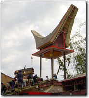 Torajan funeral: the coffin is carried up a ramp to a platform overlooking the funeral grounds