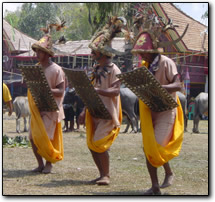 Torajan funeral: crazy dancers