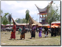 Torajan funeral: guest procession