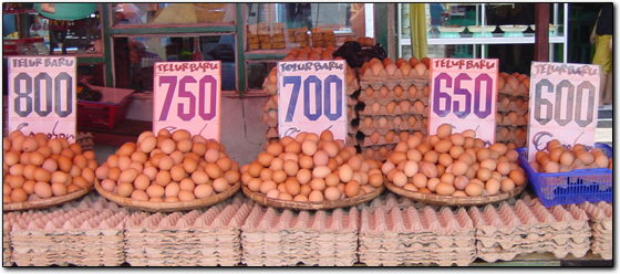 Eggs for Sale