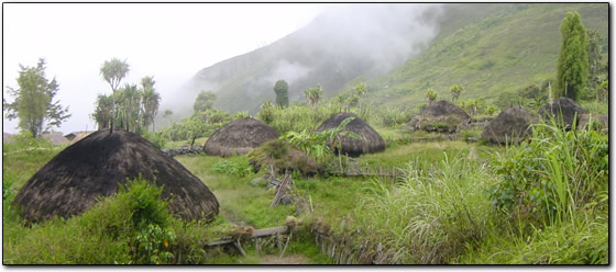 Papuan Village