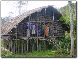 Traditional house