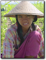 Burmese Girl